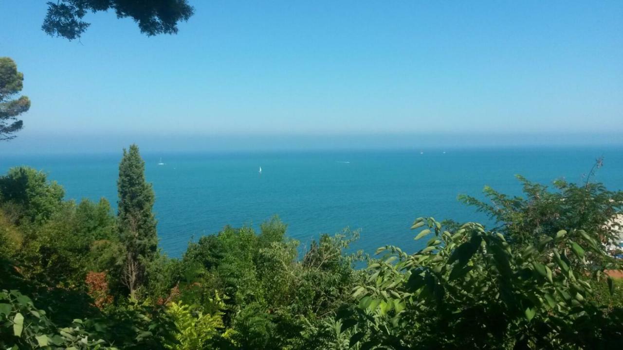 Gianfelici *