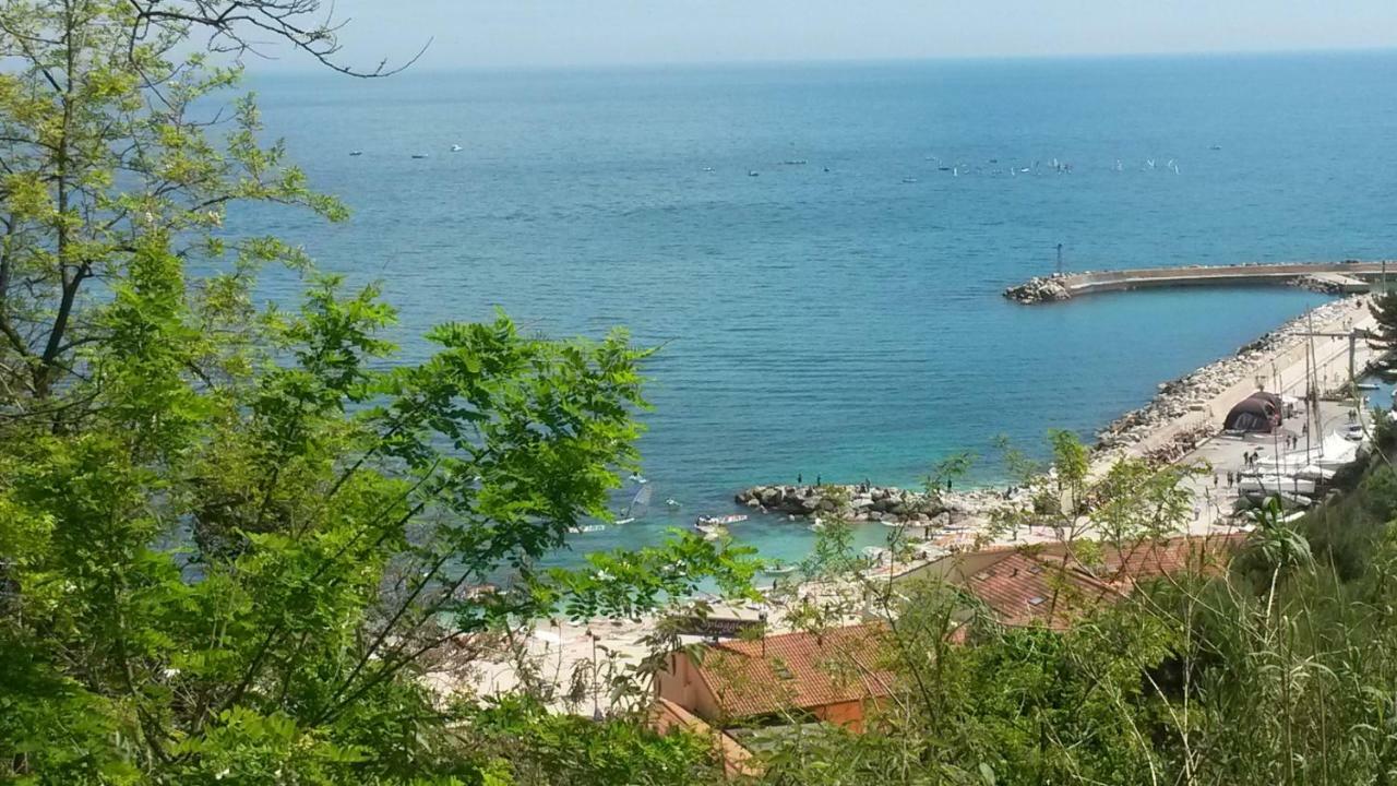 Gianfelici Numana