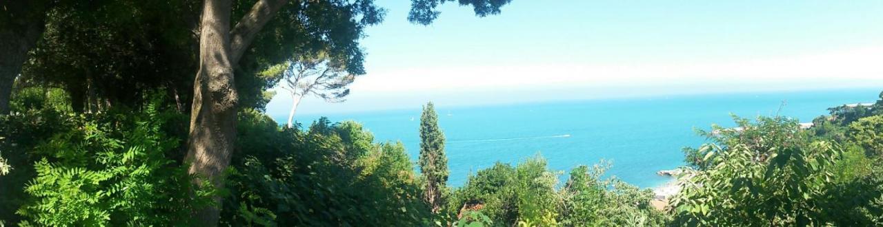 Gianfelici